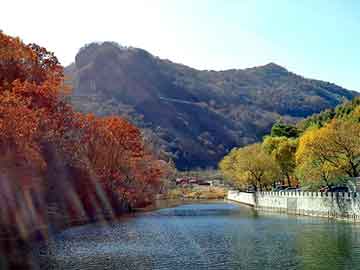 新澳天天开奖资料大全旅游团，都市异动